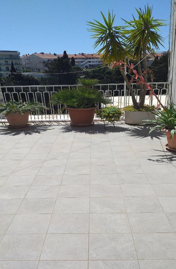 Plavi Zal *