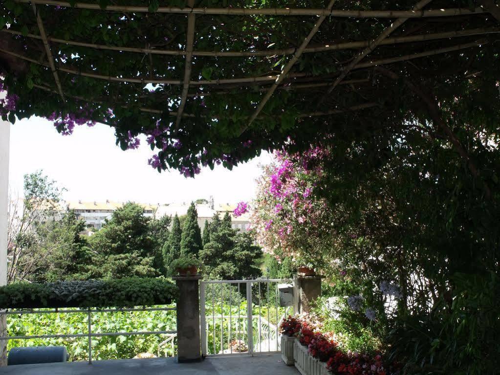 Plavi Zal