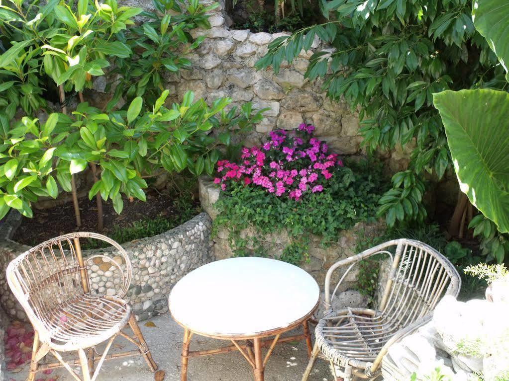 Plavi Zal