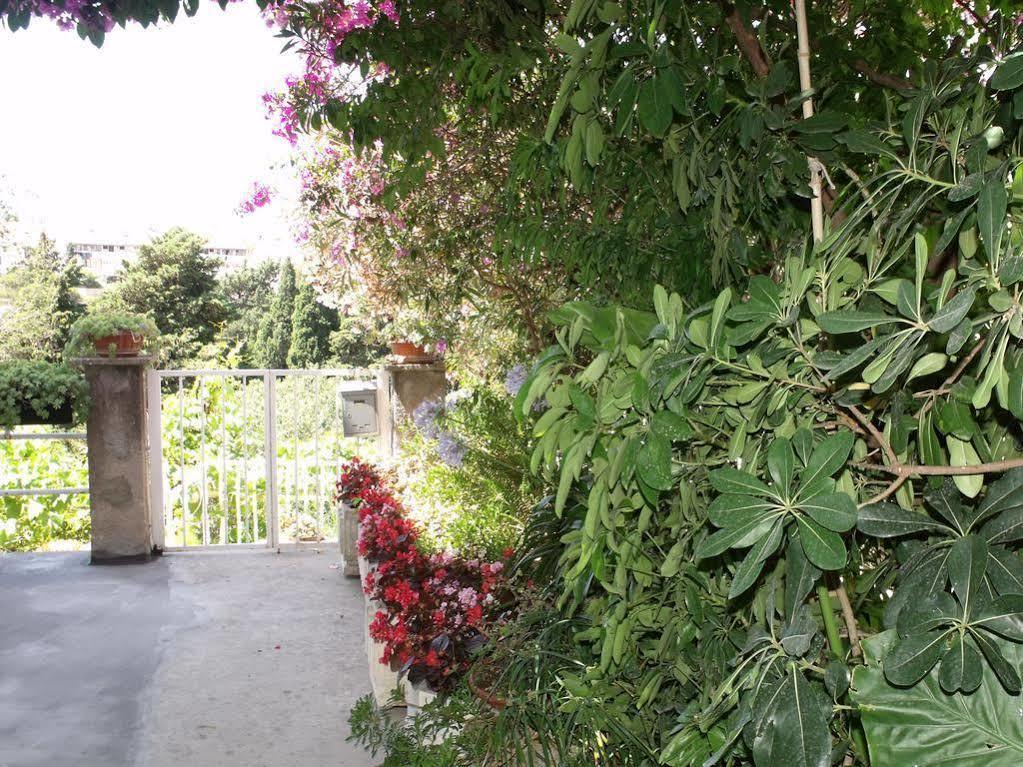 Plavi Zal *